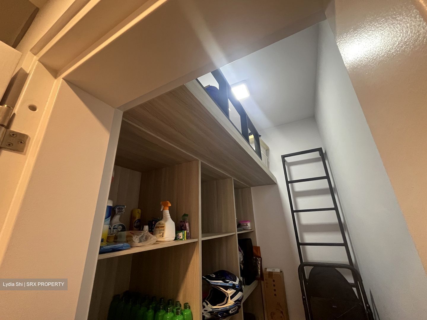 Sophia Residence (D9), Condominium #388130841